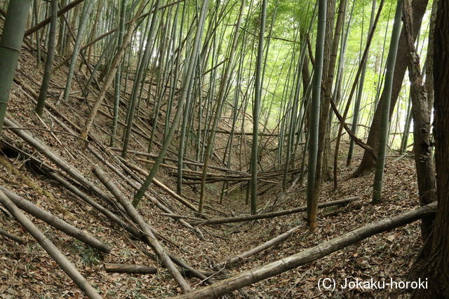 陸奥 愛宕館(松川町)の写真