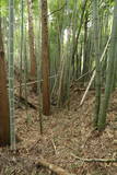 陸奥 愛宕館(松川町)の写真