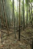 陸奥 愛宕館(松川町)の写真