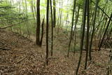 陸奥 愛宕館(松川町)の写真