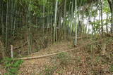 陸奥 愛宕館(松川町)の写真