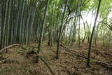 陸奥 愛宕館(松川町)の写真