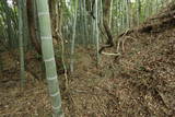 陸奥 愛宕館(松川町)の写真