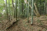 陸奥 愛宕館(松川町)の写真