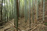 陸奥 愛宕館(松川町)の写真