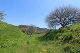 陸奥 内館(東山町松川)の写真