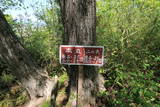 陸奥 三沢城の写真
