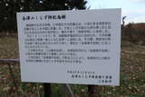 陸奥 宮森城の写真