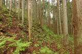 陸奥 宮崎城の写真