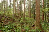 陸奥 宮崎城の写真