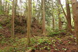 陸奥 宮崎城の写真