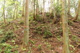 陸奥 宮崎城の写真