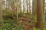 陸奥 宮崎城の写真