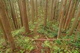 陸奥 宮崎城の写真