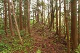 陸奥 宮崎城の写真