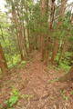 陸奥 宮崎城の写真