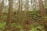 陸奥 宮崎城の写真
