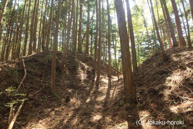 陸奥 水沼館の写真