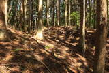陸奥 水沼館の写真