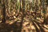 陸奥 水沼館の写真