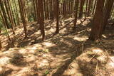 陸奥 水沼館の写真