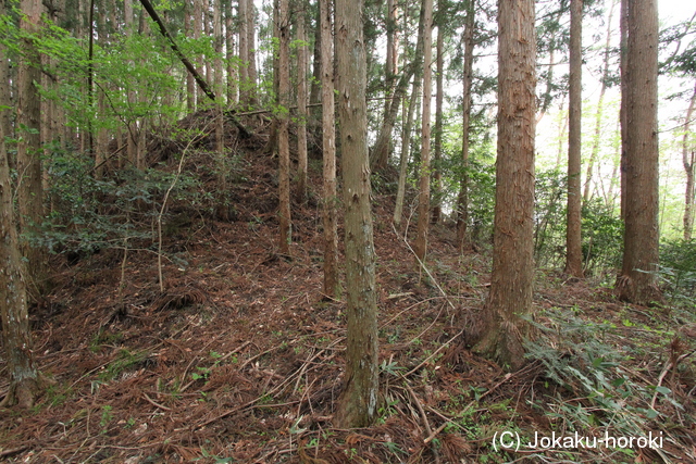 陸奥 茂庭峰館の写真