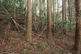 陸奥 茂庭峰館の写真