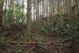 陸奥 茂庭峰館の写真