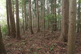 陸奥 茂庭峰館の写真