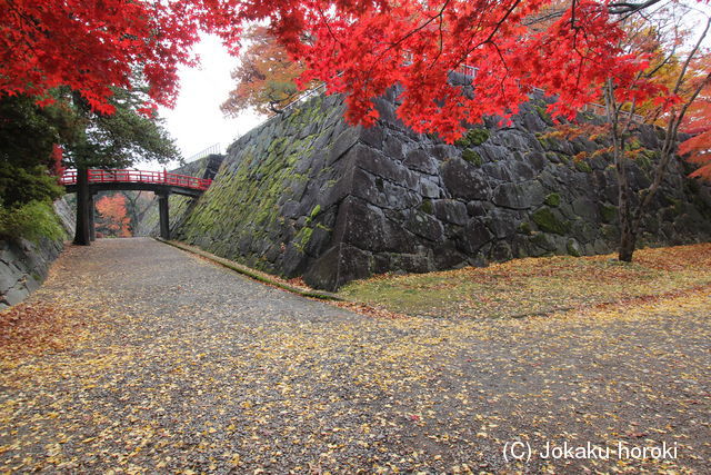 陸奥 盛岡城の写真