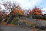 陸奥 盛岡城の写真