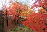 陸奥 盛岡城の写真