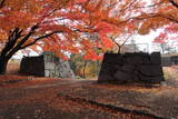 陸奥 盛岡城の写真