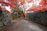 陸奥 盛岡城の写真