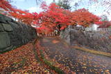 陸奥 盛岡城の写真