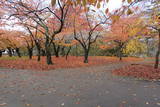 陸奥 盛岡城の写真