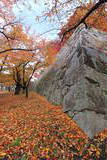 陸奥 盛岡城の写真