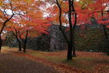 陸奥 盛岡城の写真