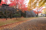 陸奥 盛岡城の写真