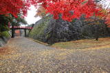 陸奥 盛岡城の写真