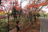 陸奥 盛岡城の写真