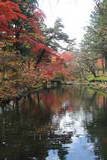 陸奥 盛岡城の写真