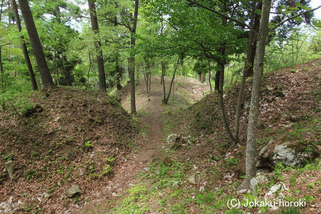 陸奥 向羽黒山城の写真