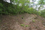 陸奥 向羽黒山城の写真