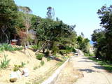 陸奥 村上城の写真