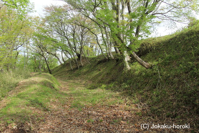 陸奥 村田館の写真