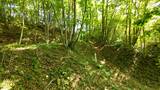 陸奥 冥護山館の写真