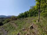 陸奥 冥護山館の写真