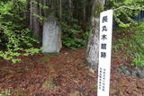陸奥 長丸木館の写真