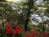 陸奥 長沼城の写真